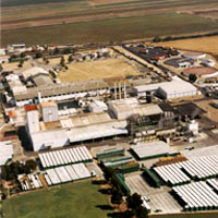Agraz