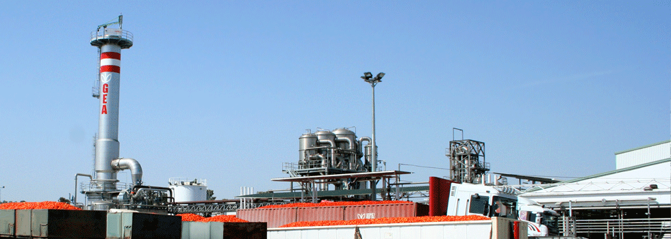 Agraz Company